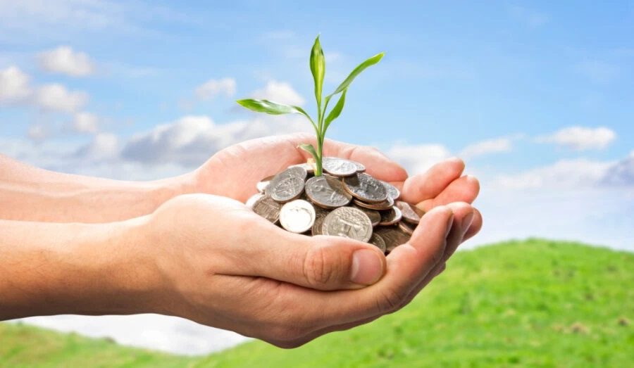 financial-literacy financial-literacy